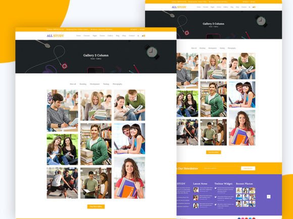 29.ALL Study: Education PSD Template