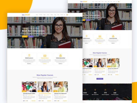 Elevating Educational Institutions: The Strategic Value of the 04.ALL Study Education PSD Template