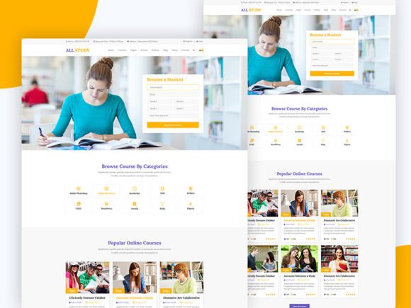 Transforming Educational Branding with the 03.ALL Study Education PSD Template